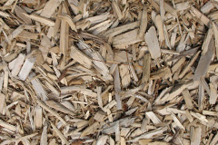 biomass boilers Llandyrnog